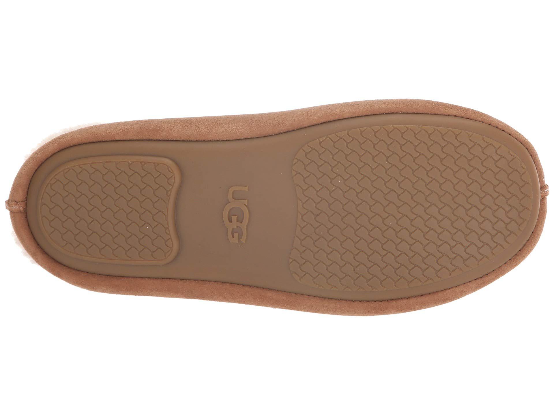ugg roo revival