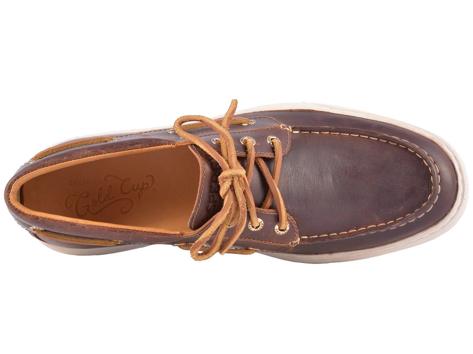 sperry asv