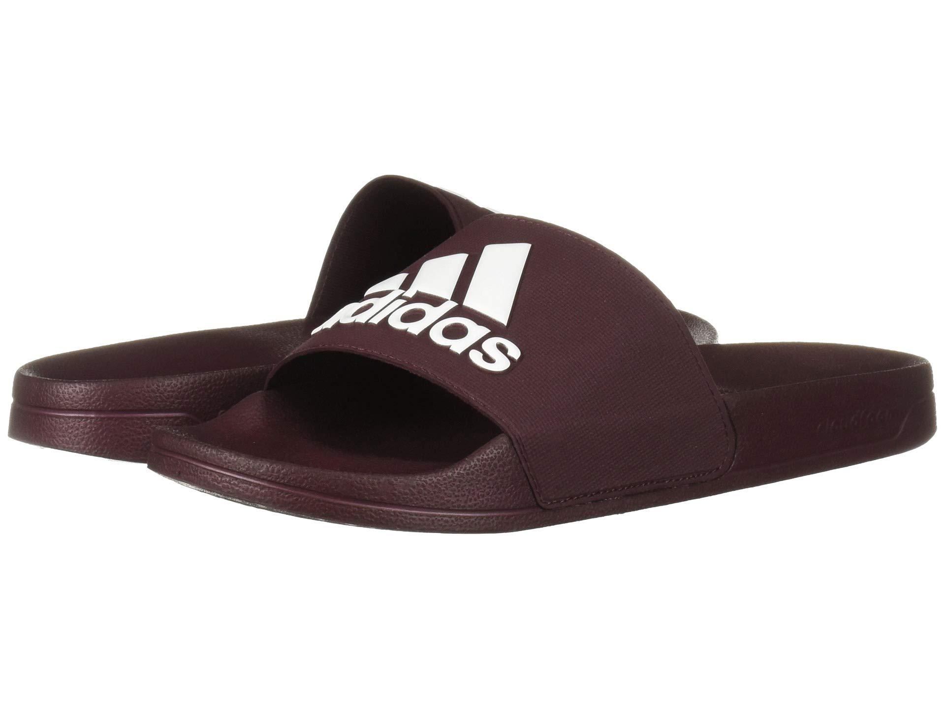 adidas Synthetic Adilette Shower in 