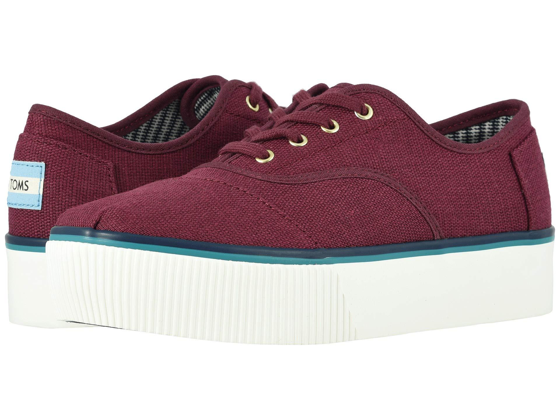toms venice collection cordones boardwalk