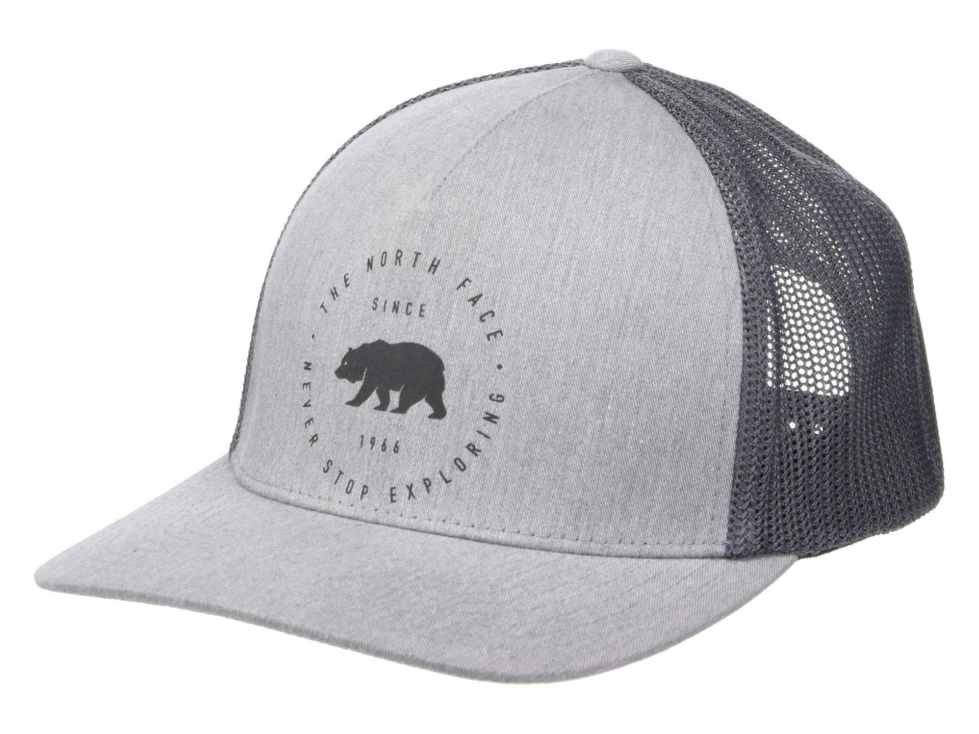 the north face bear hat
