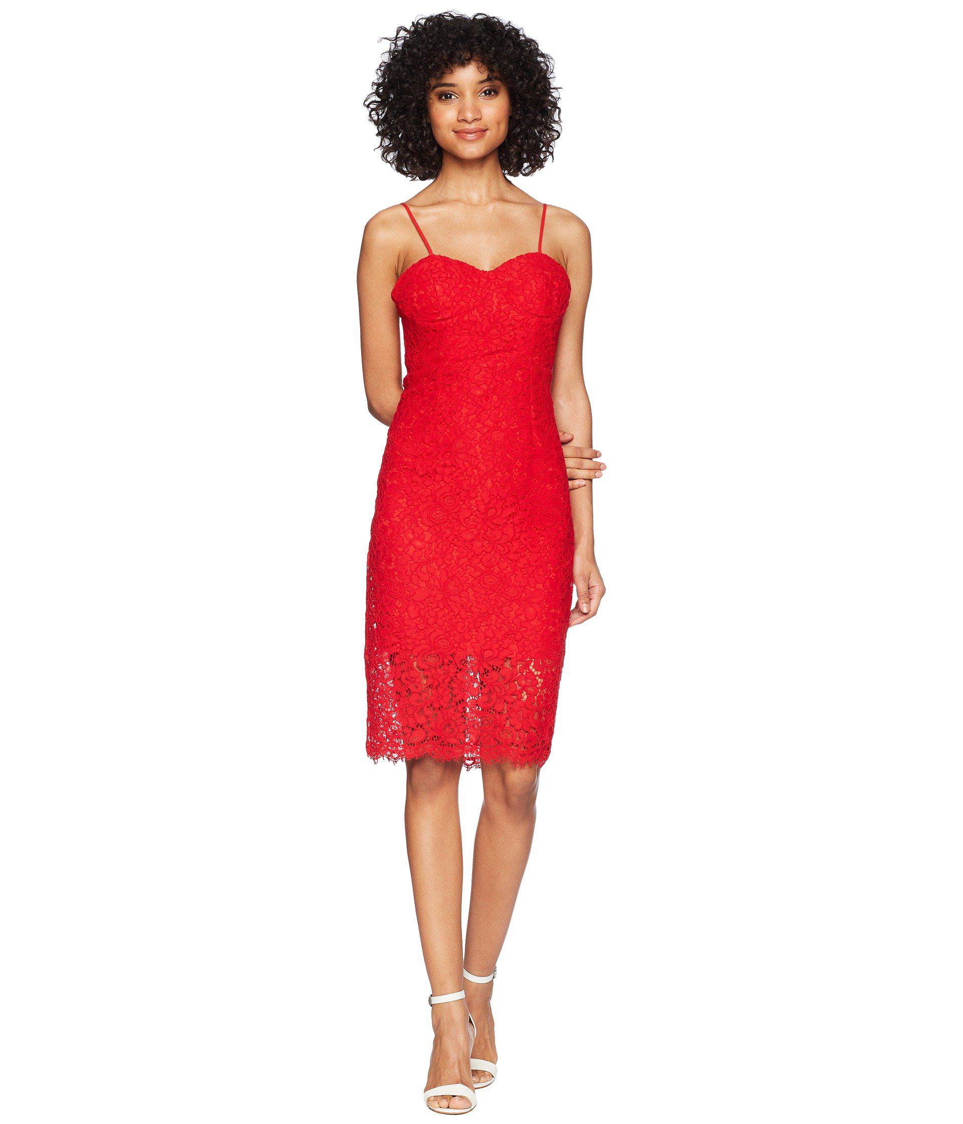 bardot pierre lace dress