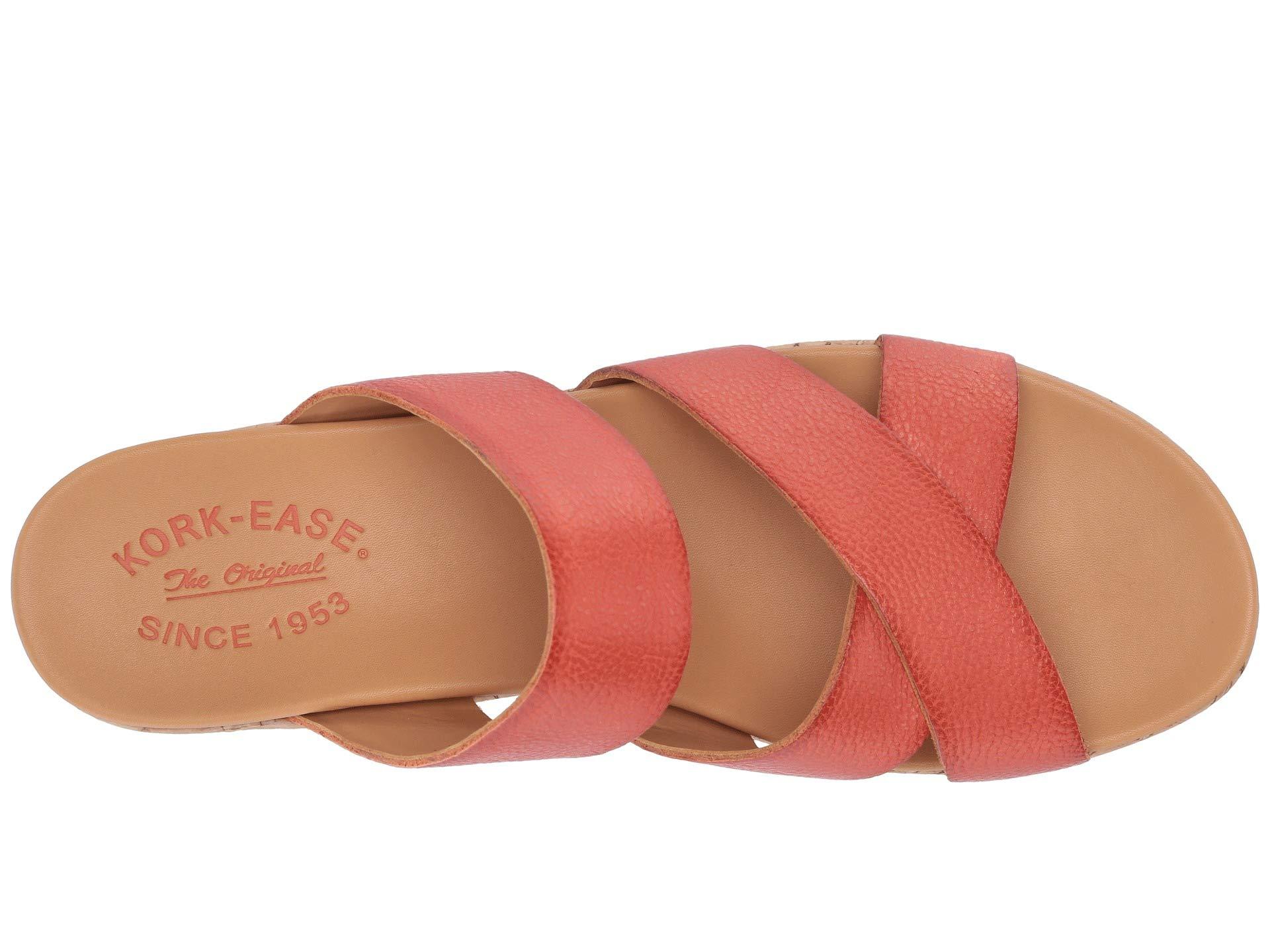 kork ease camellia