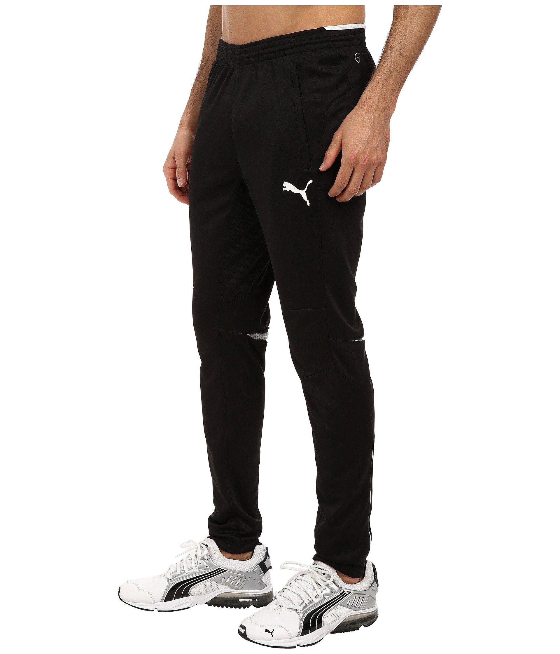 puma training pants