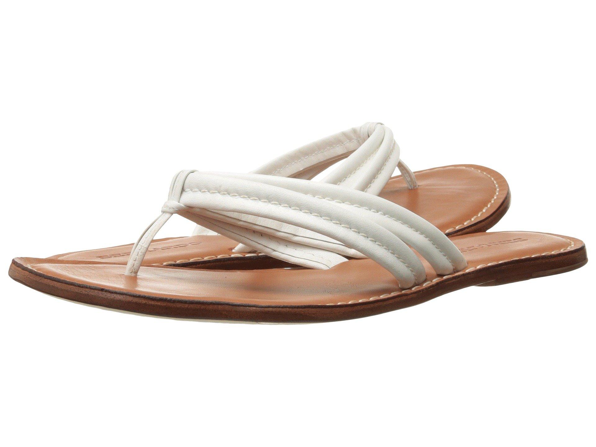 bernardo gladiator sandals