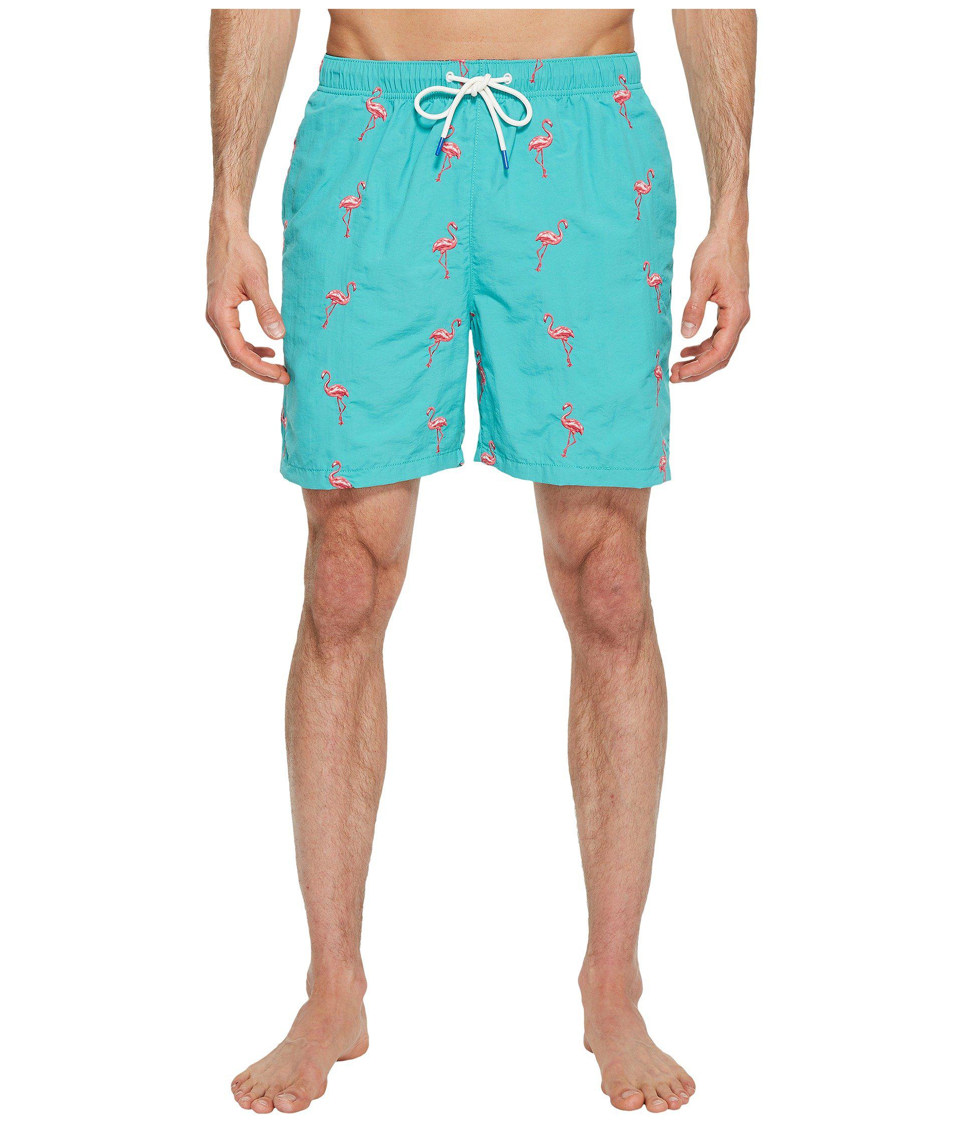 flamingo swimsuit mens