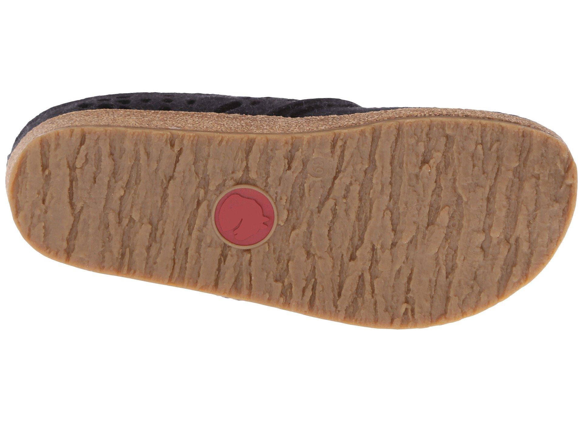 haflinger lacey