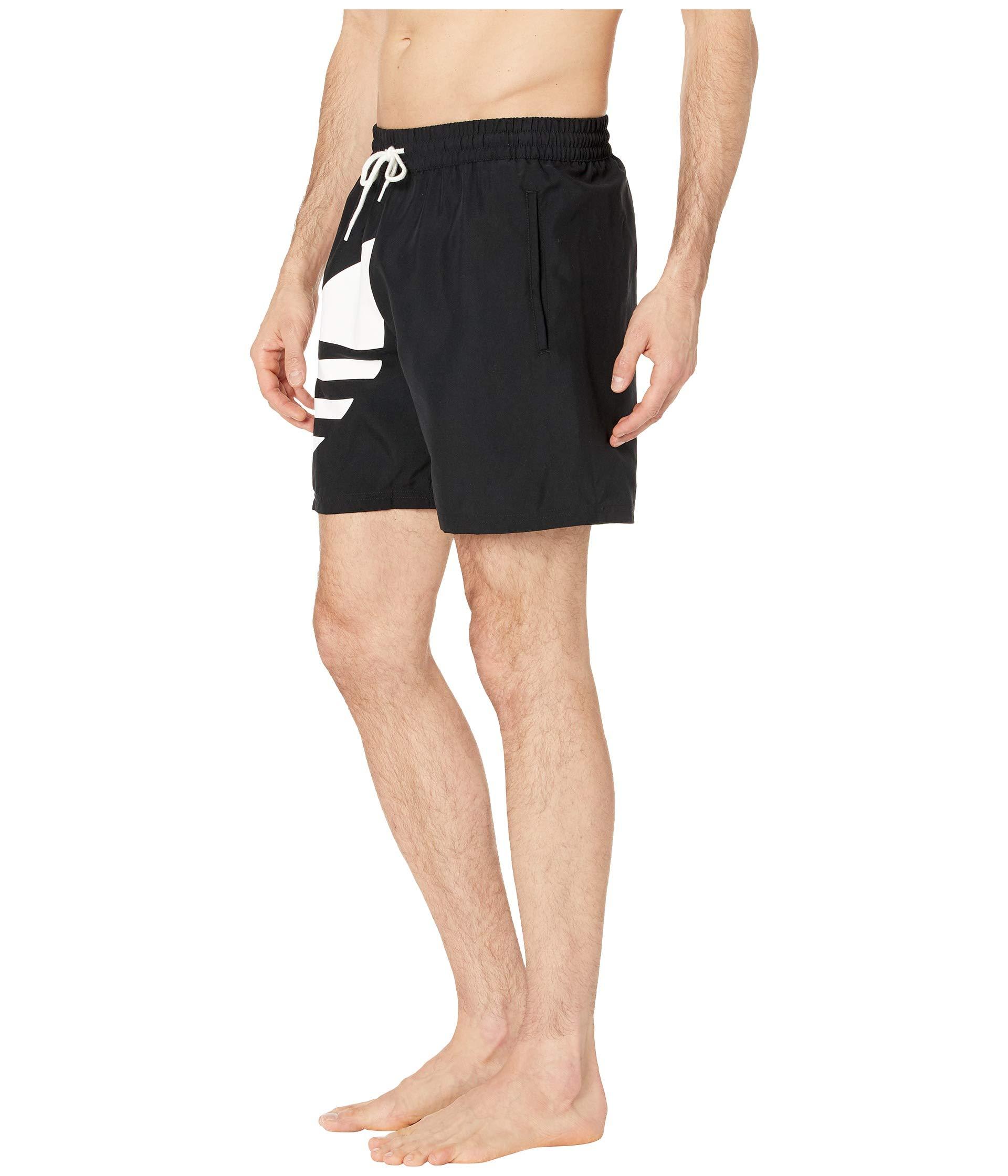 adidas originals big trefoil swim shorts