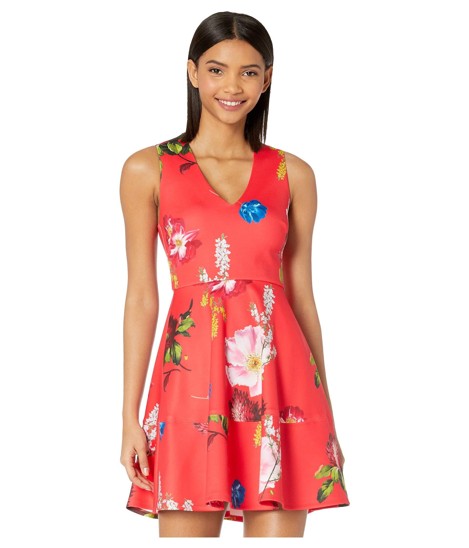 ted baker melbii dress