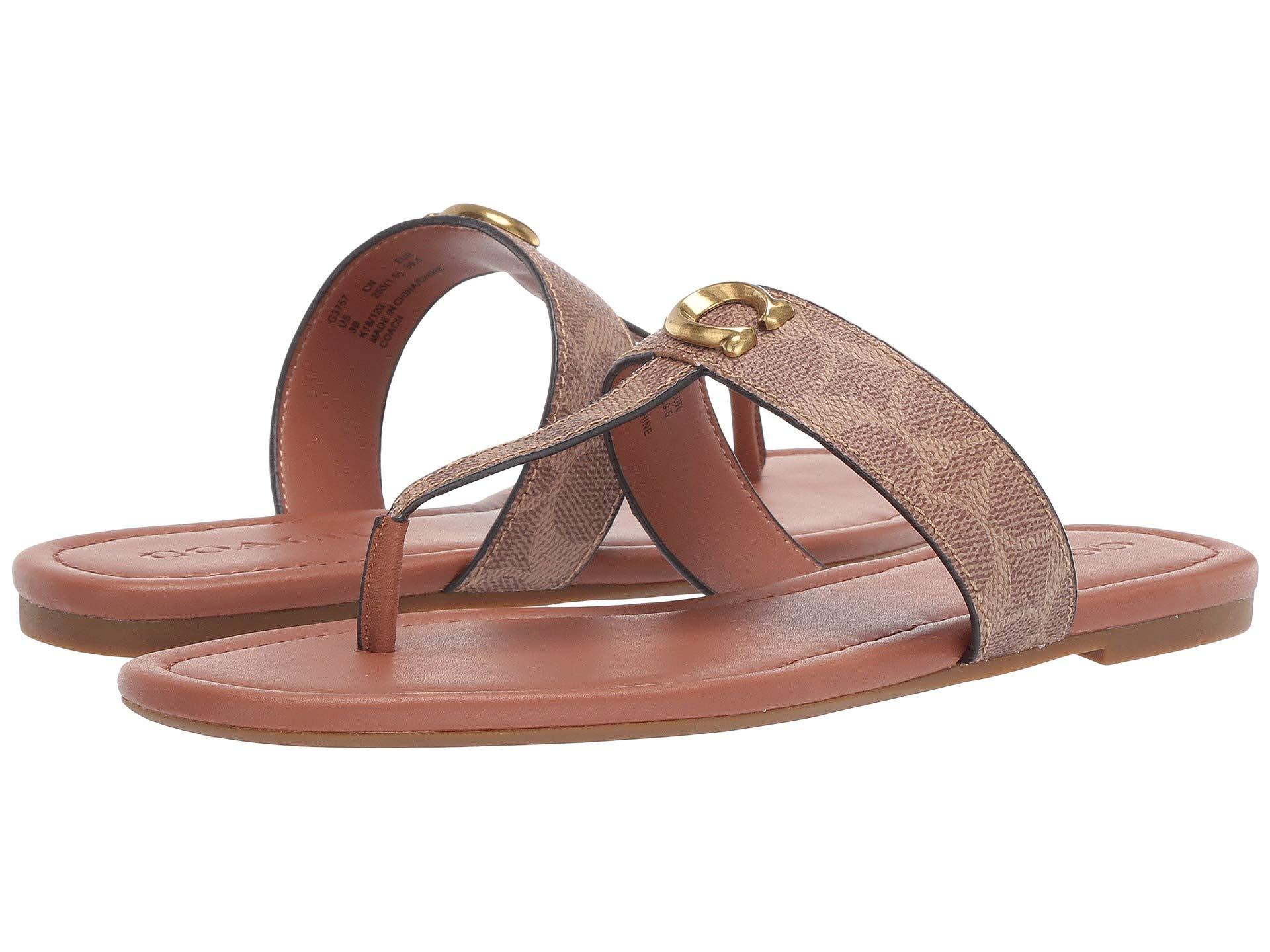 COACH Jessie Thong Sandal With Signature Buckle (champagne Metallic  Leather) Women's Sandals in Brown | Lyst