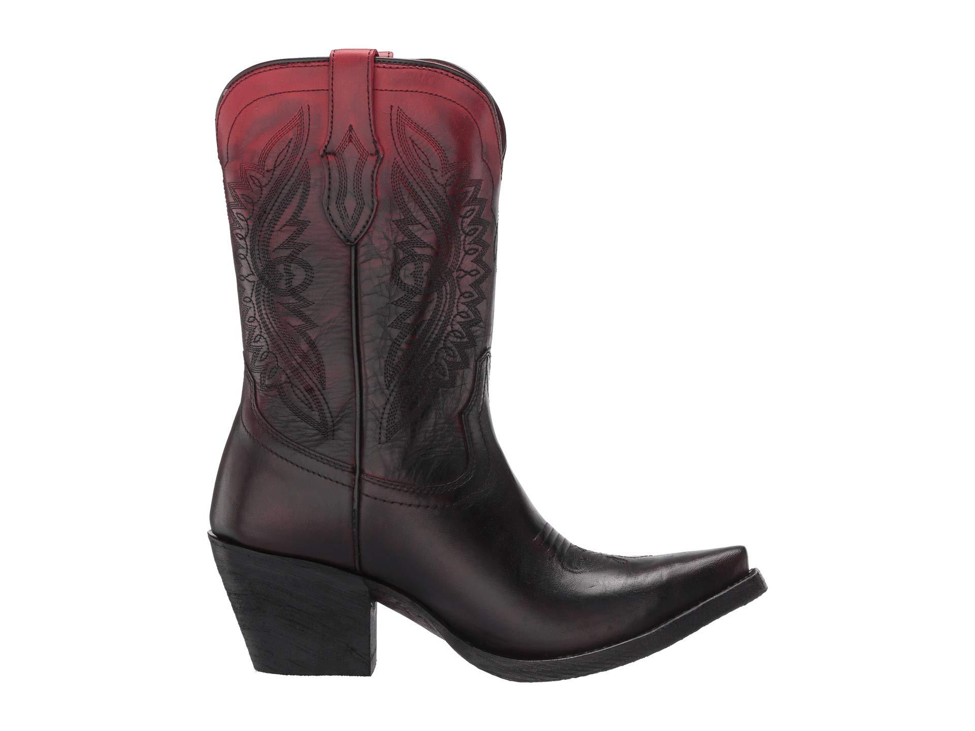 ariat circuit stella