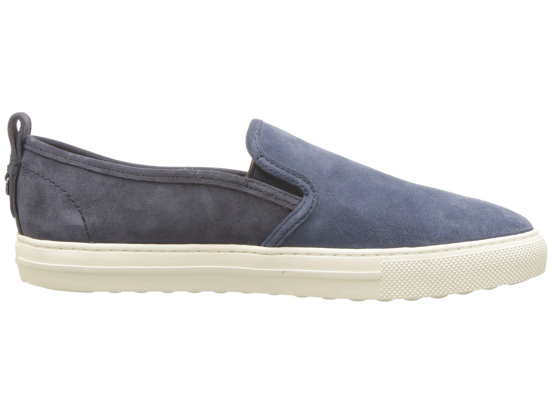 navy coach sneakers