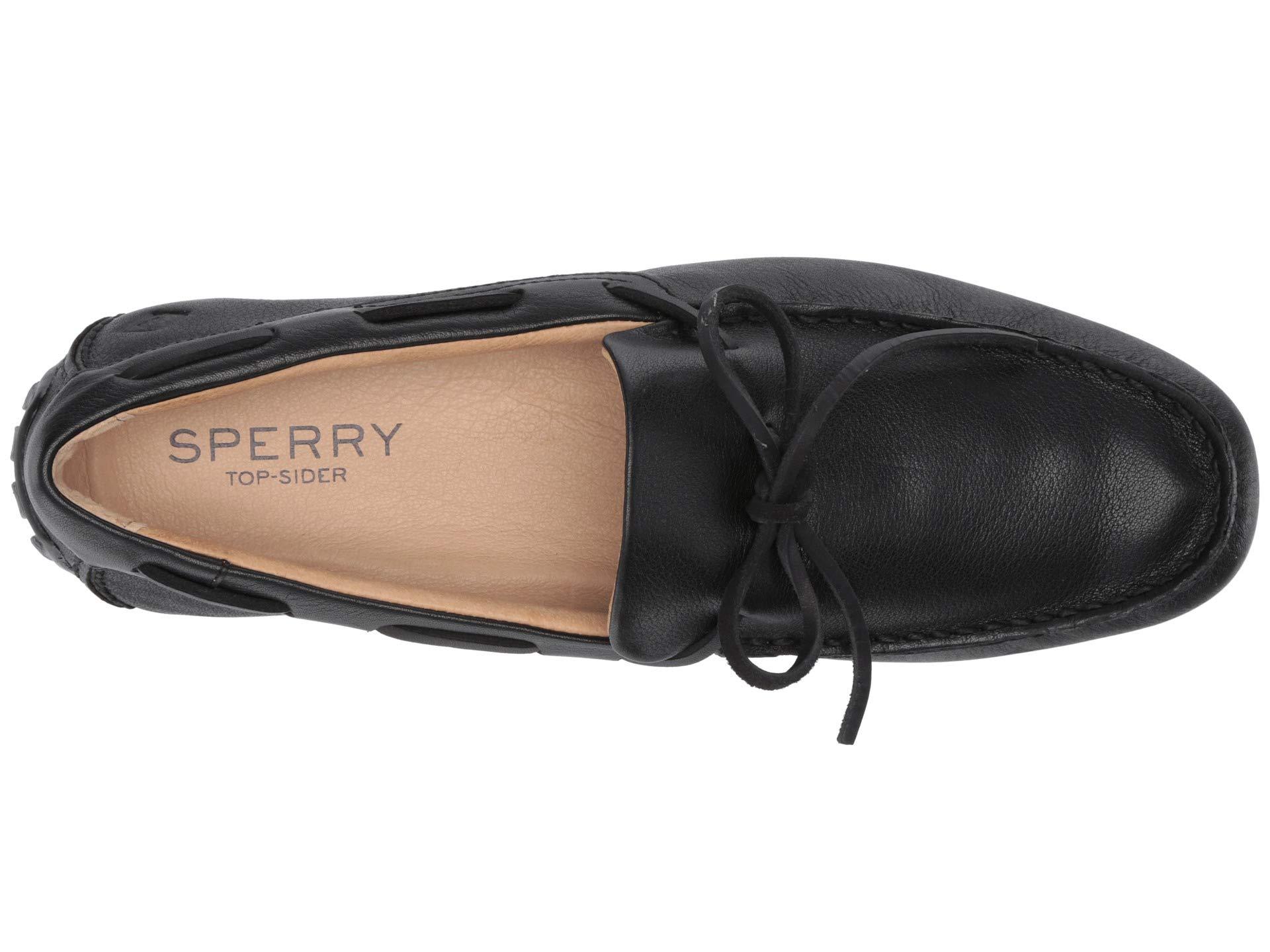 sperry hampden