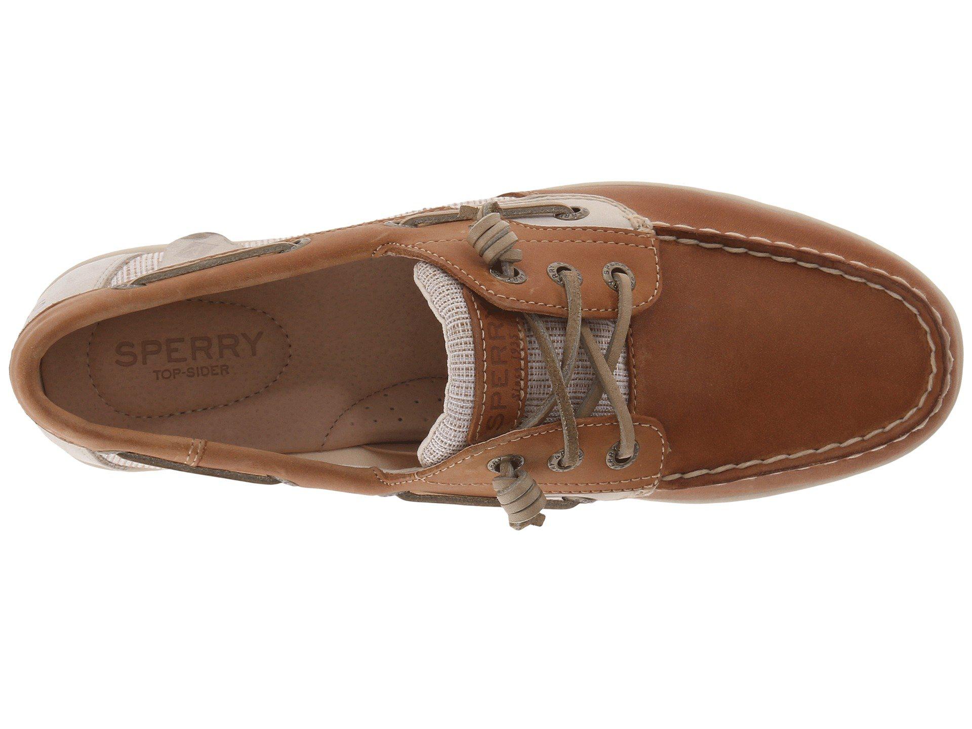 sperry songfish core