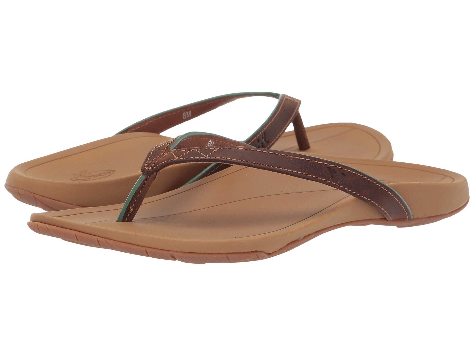 chaco biza