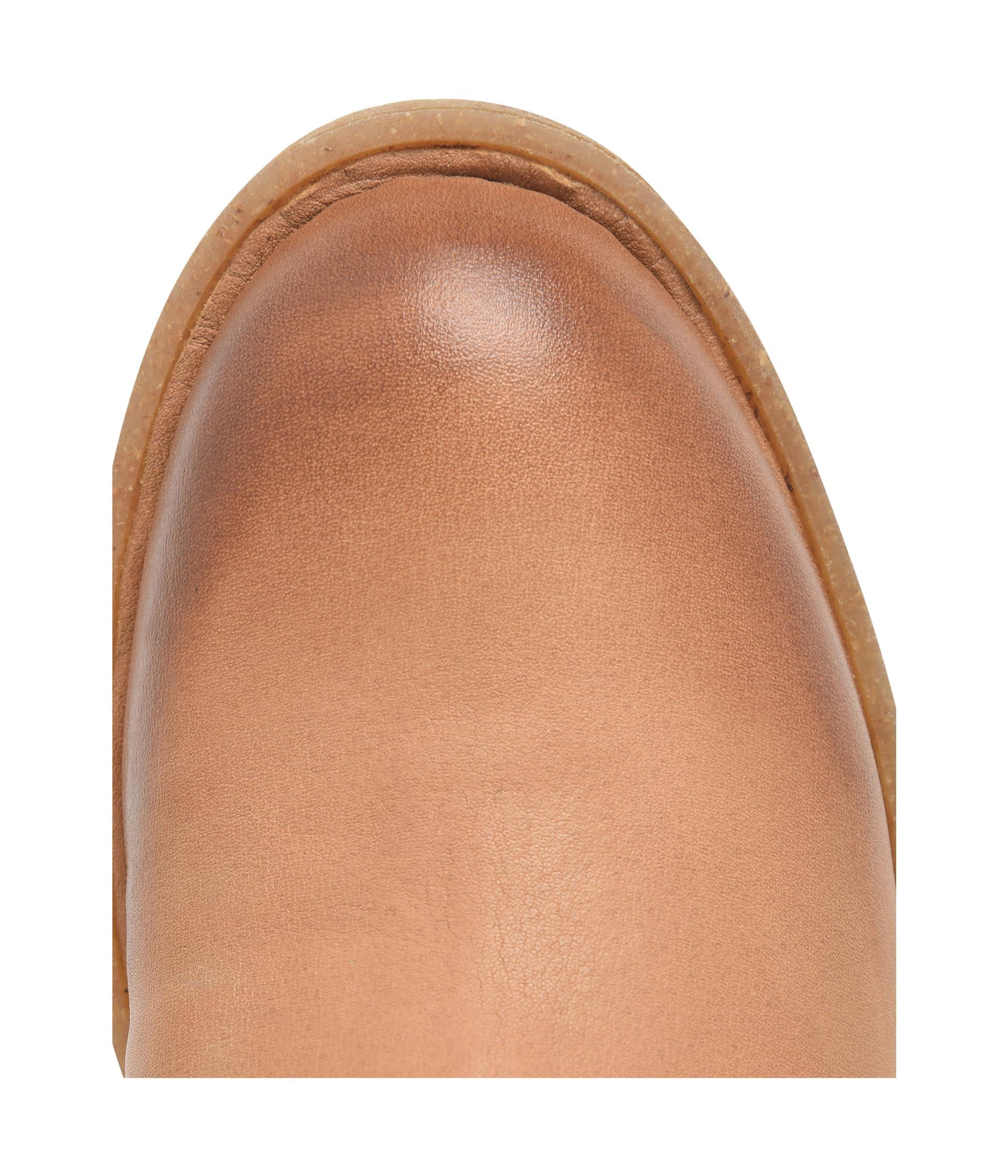 Delano Brown Shoes