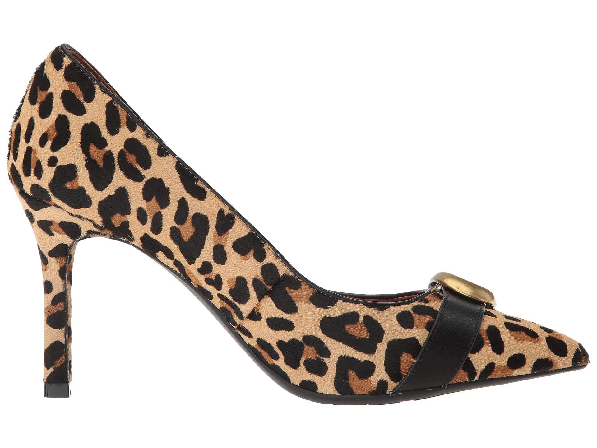 coach waverly signature buckle pumps